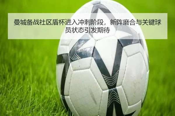 img_1781171357087_75_2_675.jpg